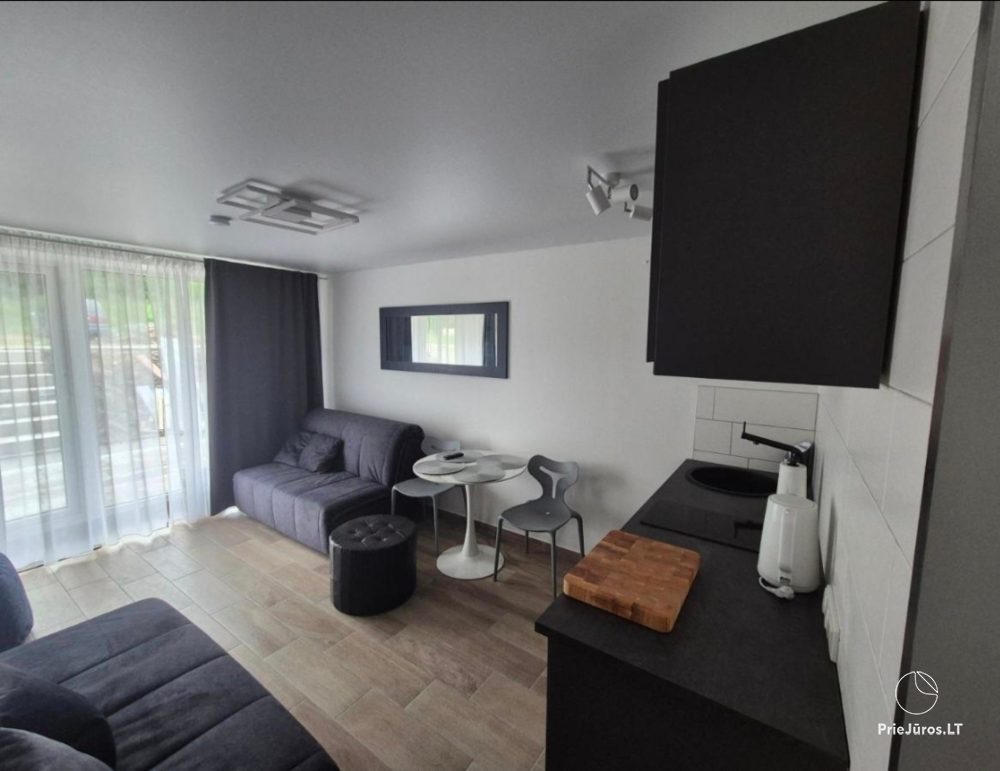 Apartament typu studio - Meguvos 9 - 1