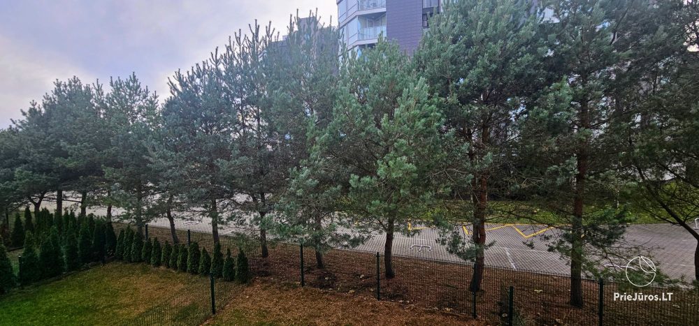 Wynajmowany osobny domek 102 m² (2019), 350 m od morza.