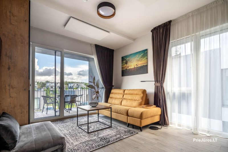 Przytulne mieszkanie typu studio w Kunigiškės