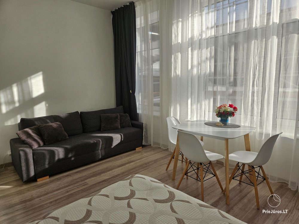 Apartamenty w centrum Nidy Seashell Nida Apartments - 1