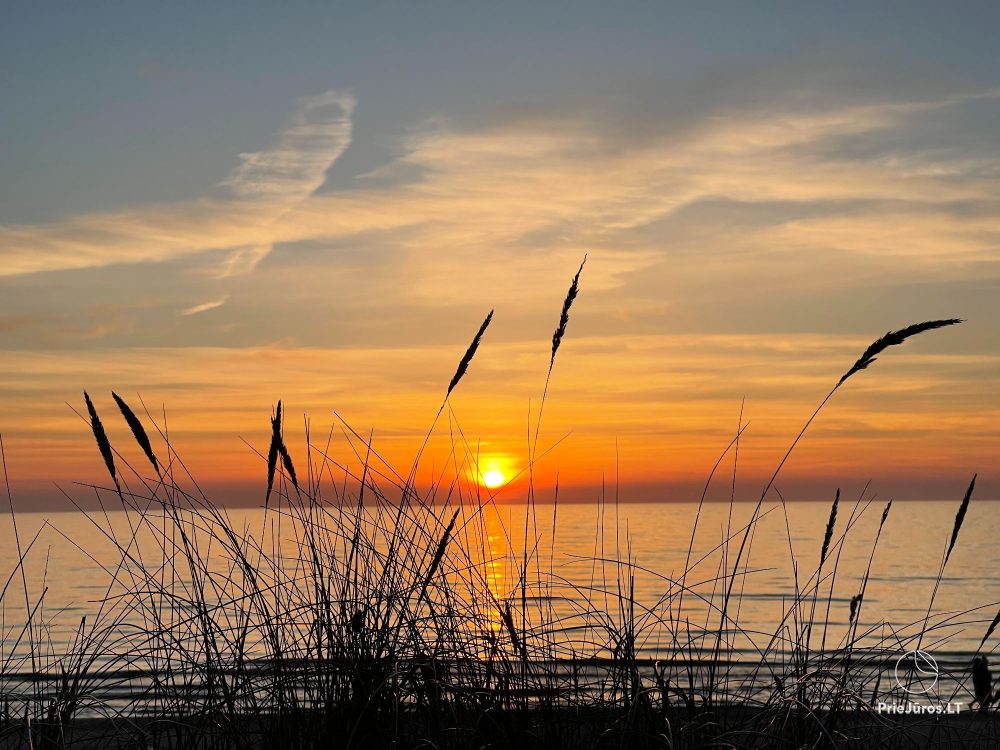 Sunset House - domek w Kunigiškiai