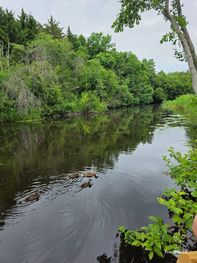 Domek Riverside
