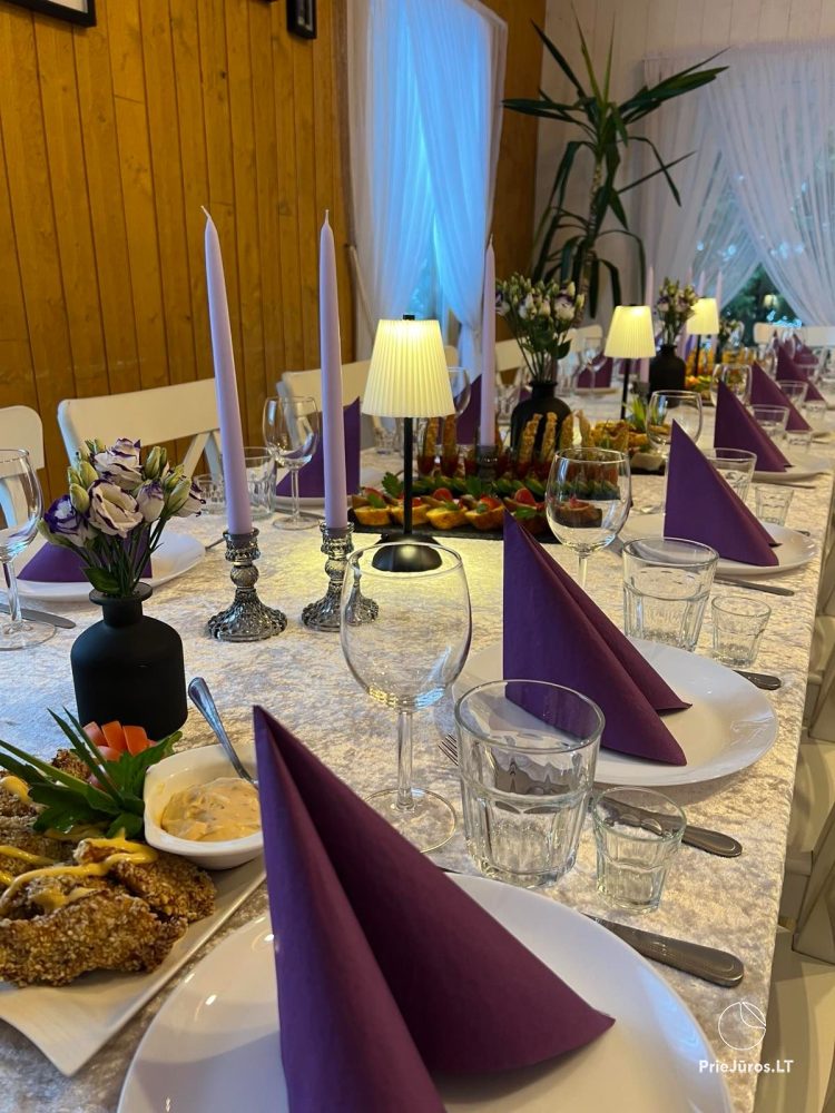 Wieś Turystyka domu z sauna, basen, sala bankietowa