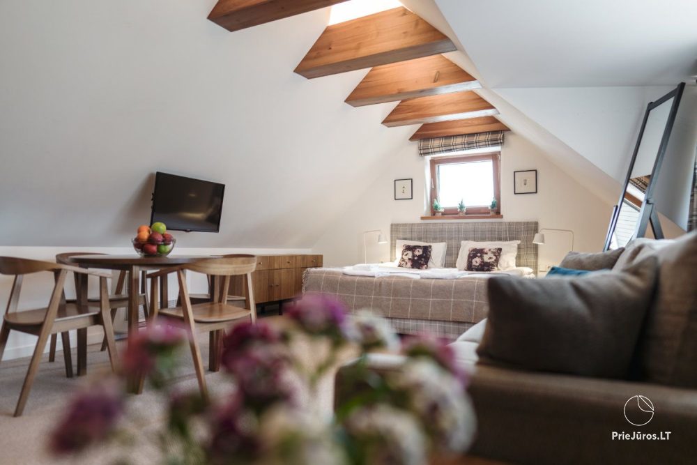 Palanga Visit - Apartamenty & SPA w Połądze