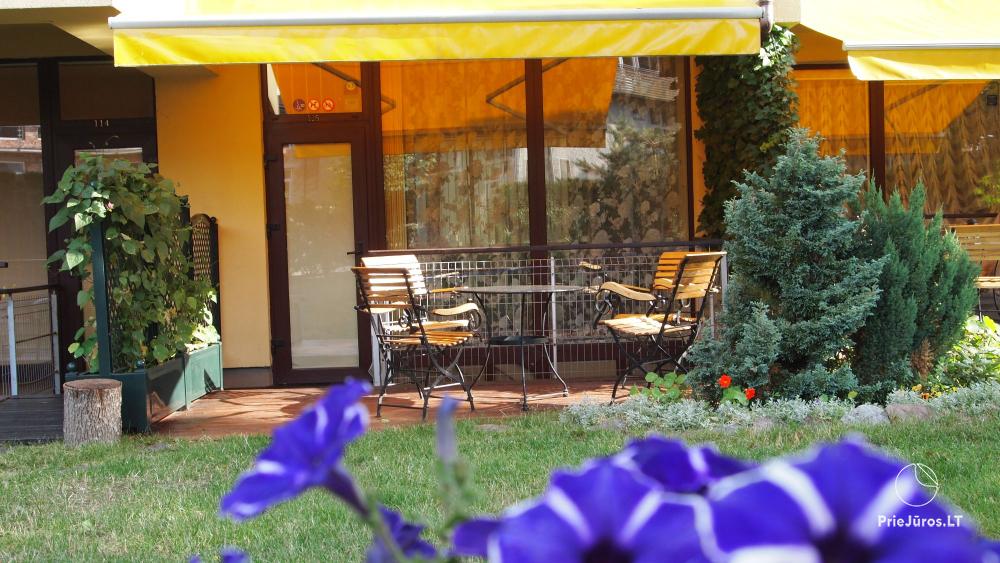 „Pušynas Apartments“ - apartamenty - apartamenty z osobnym wejściem i tarasem