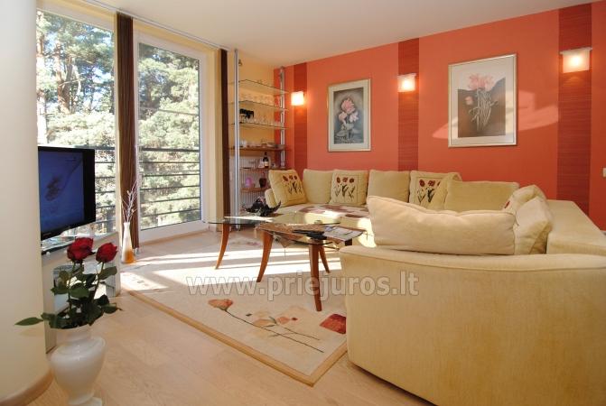 Apartament w Palanga. Pobliski las nadmorski sosnowy, blisko plaży
