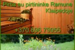 Sauna z łaźni asystenta w Kłajpedzie