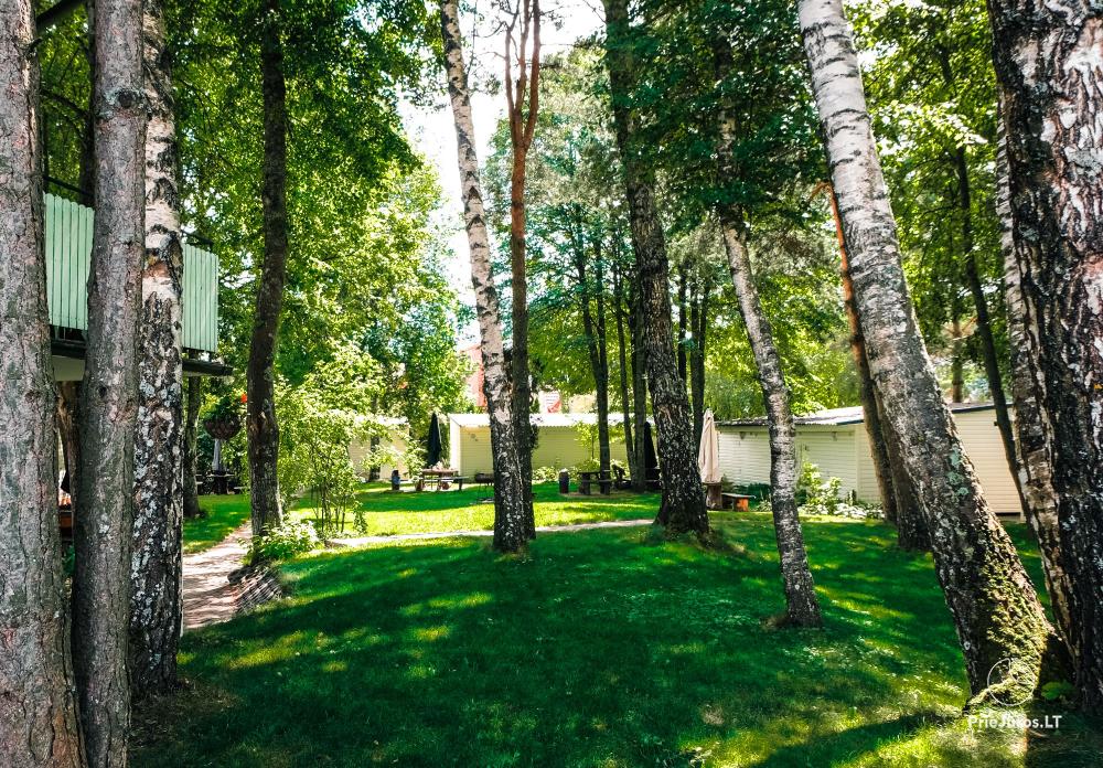 Wakacje w w Šventoji Žibintas - apartamenty i domki letniskowe