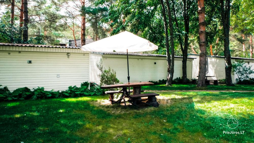 Wakacje w w Šventoji Žibintas - apartamenty i domki letniskowe