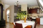 Dwupokojowy apartament z kominkiem Gniazdem II do wynajęcia w Nidzie
