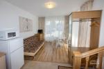 Pokoje i apartamenty w Połądze w pensjonacie „VILA DOMINO” - 400 m od morza, blisko centrum - 4