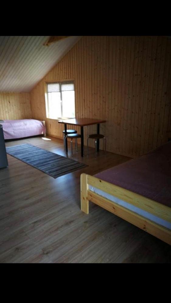 Wynajem domków i pokoi wypoczynkowych „Dobilas ir Jūra”: wszystkie udogodnienia, tarasy, WiFi, konie