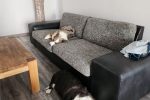 Pokoje do wynajęcia w Melnrage (Klaipėda), 300 metrów od plaży Bałtyku - 5