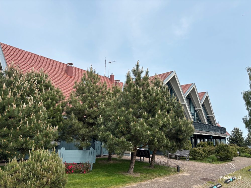 Apartament w Preila na brzegu Mierzei Kurońskiej, balkon z widokiem na lagunę