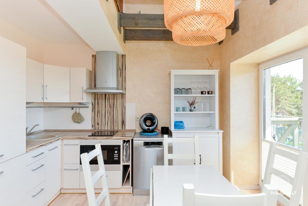 Apartamenty „Nidos Loftas” ze SPA