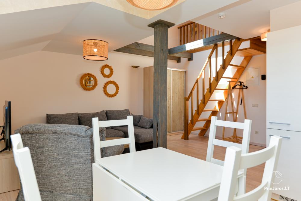 Apartamenty „Nidos Loftas” ze SPA