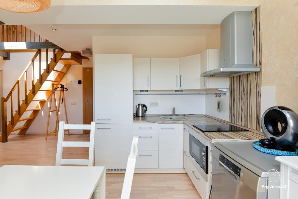 Apartamenty „Nidos Loftas” ze SPA