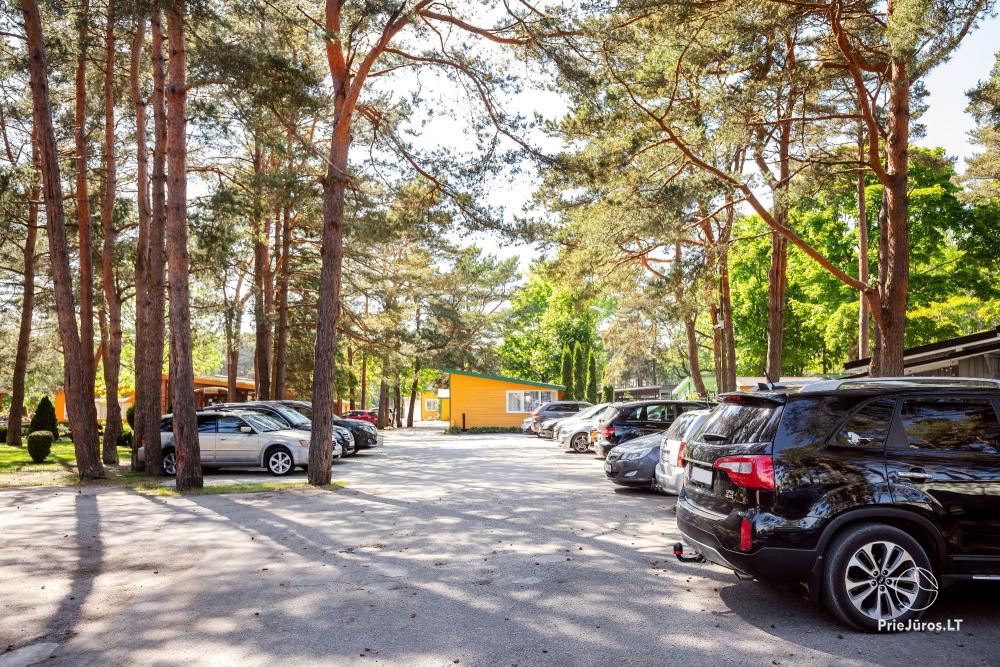 Domy wypoczynkowe „Elektronas”. Wynajem domków