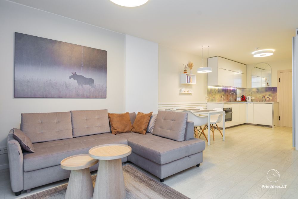 Nowy przestronny apartament Nidos Vilnelė z tarasem i bezpłatnym miejscem parkingowym w Nidzie