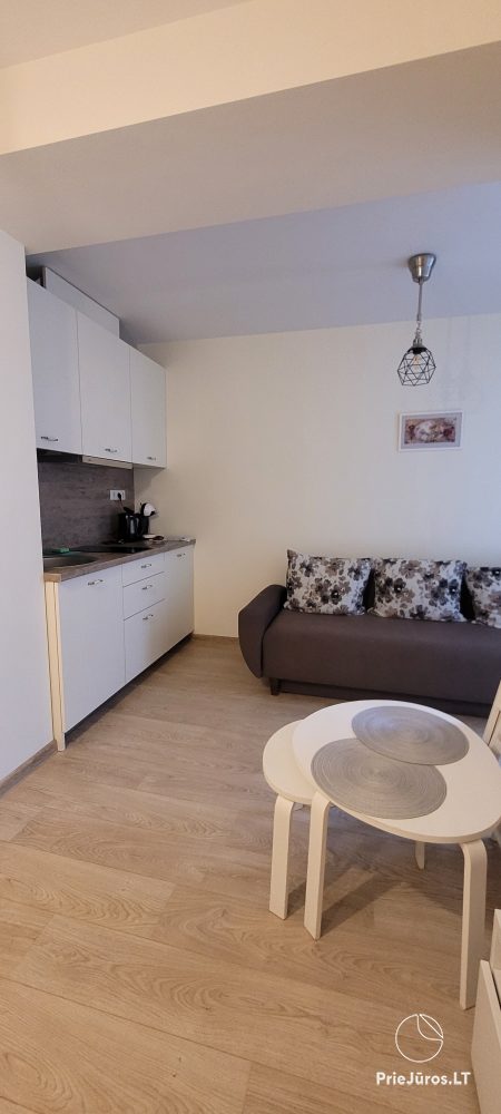 Przytulny apartament w miejscowości Preila z tarasami i widokiem w pobliżu Zalewu Kurońskiego