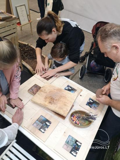 Program edukacyjny w gospodarstwie Eve - 1