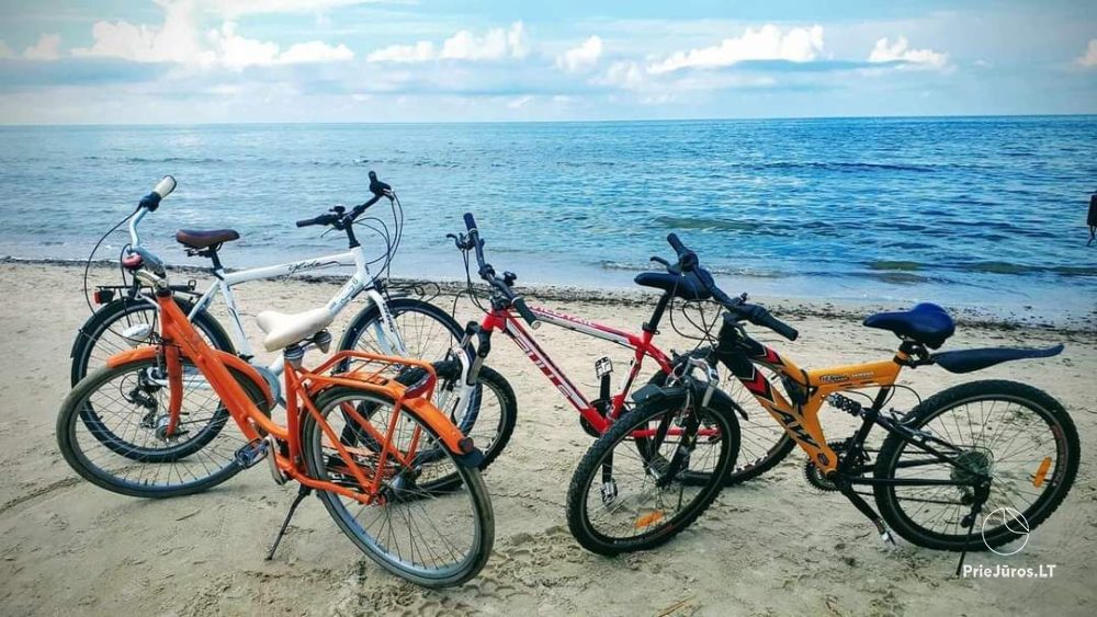 Wypożyczalnia rowerów w Kretinga dla całej rodziny - 1