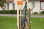 XVIII Festiwal Folklorystyczny Dmuch, Wietrze! - 2