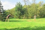 Disc Golf w Sventoji (Pałanga) – gospodarstwo „Akmeninė sala” - 5
