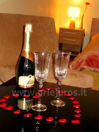 Dom Wakacyjny SAULE - 1