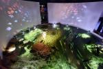 Litewskie Muzeum Morskie - Delfinarium w Klajpedzie - 3
