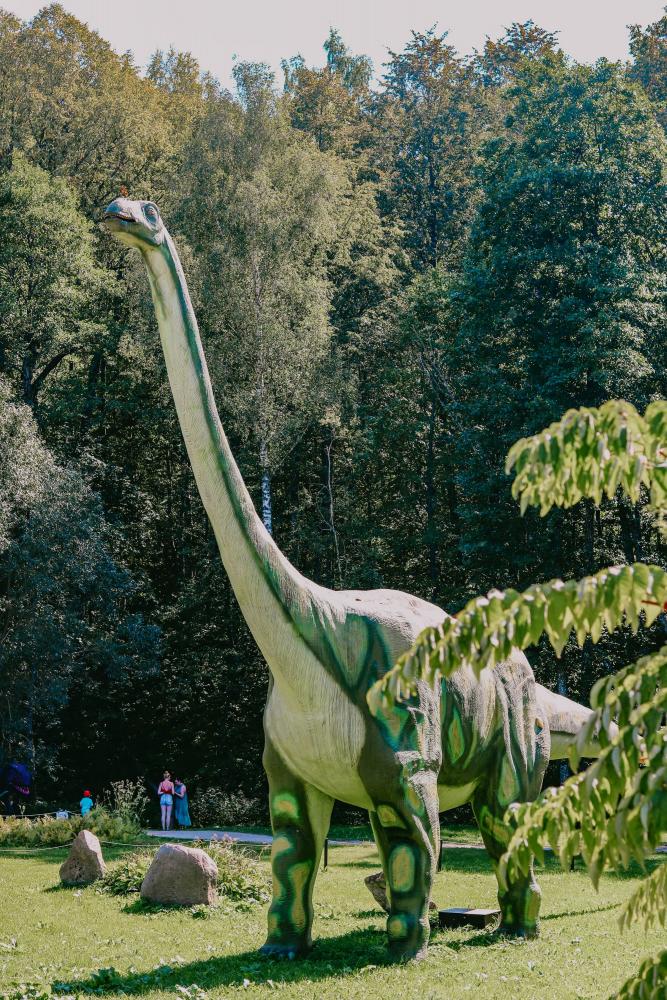 Park Dinozaurów DINO.LT Radailiai w kompleksie "Radailių dvaras" niedaleko Kłajpedy