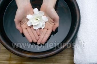 Zapachy Prowansji SPA