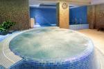 Infra-sauna, Steam-bath, Swimming-pool, Massage, Beauty parlour in a Hotel Alka ****