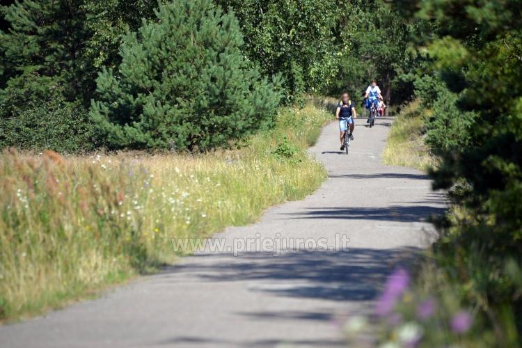 Ścieżki rowerowe nad morzem Palanga -Nida (90 m) - 1