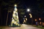 Rozświetlenie choinki bożonarodzeniowej w Šventoji 5 grudnia 2026