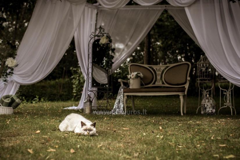 Homestead do wynajęcia w dzielnicy Kłajpedy - 12