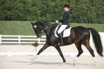 Atrakcje z końmi przy Atostogų Parkas Horse & Rider szkoła jazdy konnej - 2