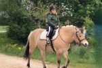 Atrakcje z końmi przy Atostogų Parkas Horse & Rider szkoła jazdy konnej - 3
