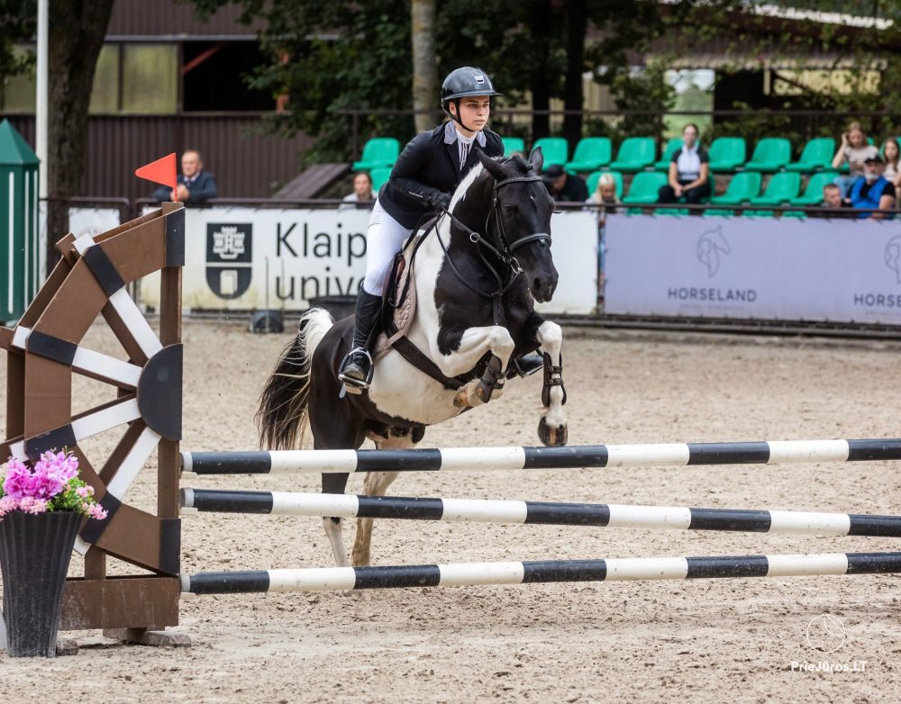 Atrakcje z końmi przy Atostogų Parkas Horse & Rider szkoła jazdy konnej