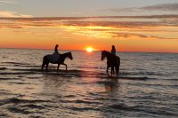 Atrakcje z końmi przy Atostogų Parkas Horse & Rider szkoła jazdy konnej