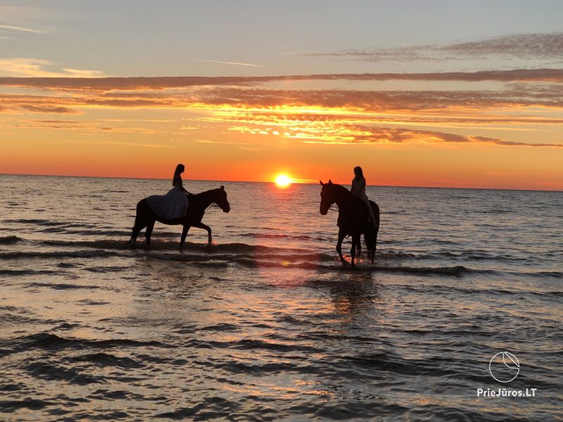 Atrakcje z końmi przy Atostogų Parkas Horse & Rider szkoła jazdy konnej