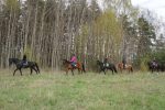 Atrakcje z końmi przy Atostogų Parkas Horse & Rider szkoła jazdy konnej - 6
