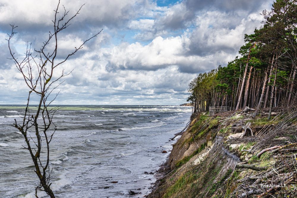 Czapka Holendra
