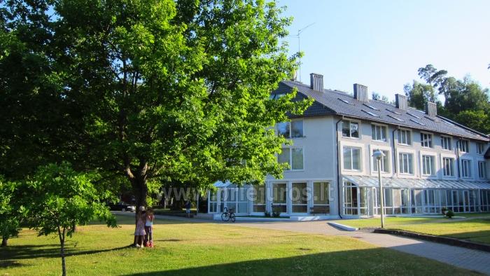 Prie Azuolo. Apartamenty w Juodkrante - 1