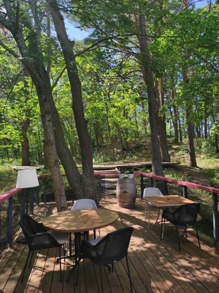 RESTAURACJA RYBNA "ZUVINE"
