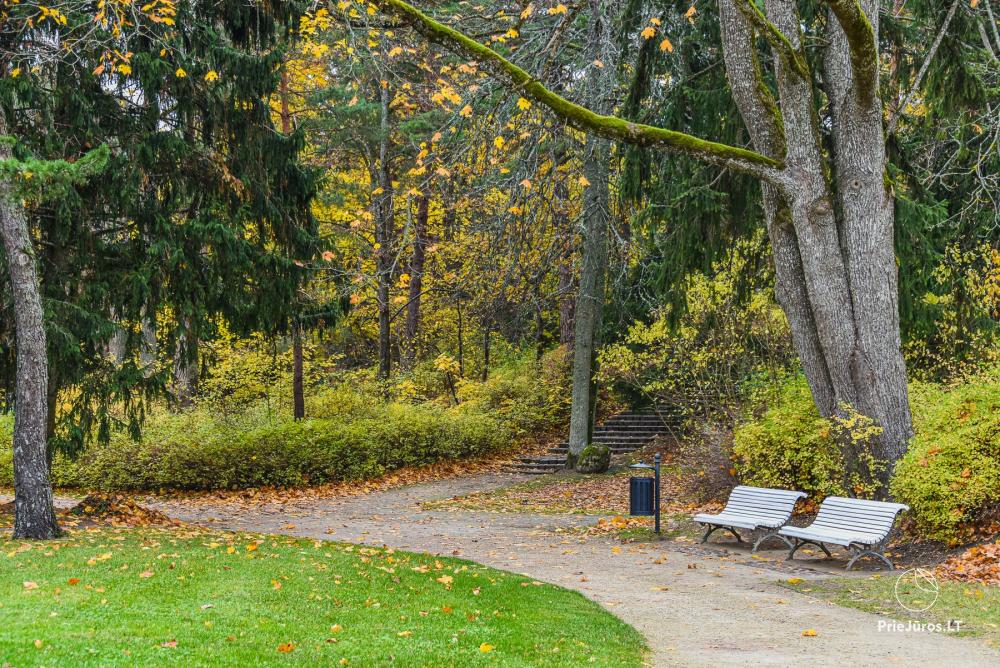 Park botaniczny w Połądze