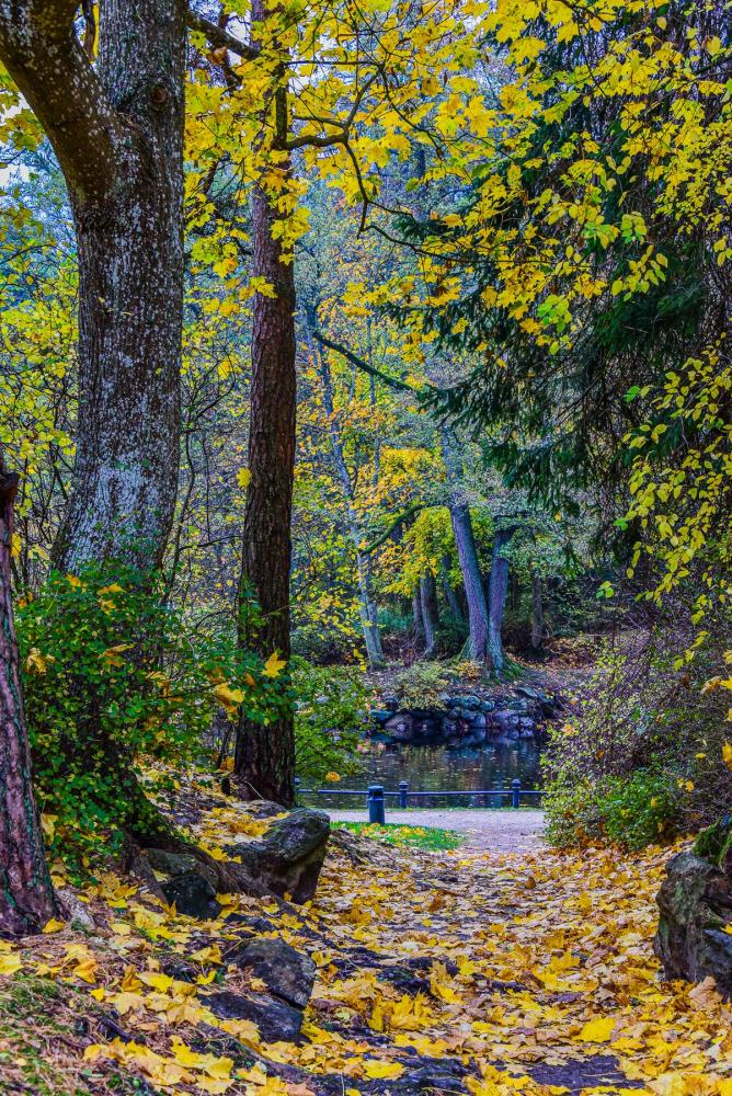 Park botaniczny w Połądze