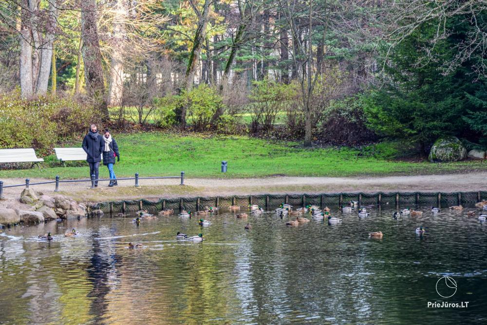 Park botaniczny w Połądze