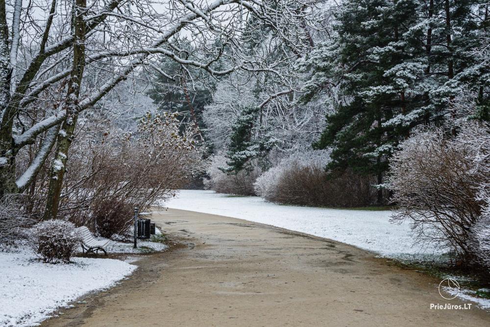 Park botaniczny w Połądze
