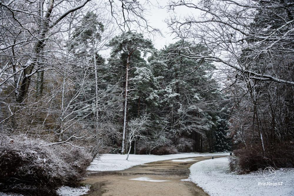 Park botaniczny w Połądze